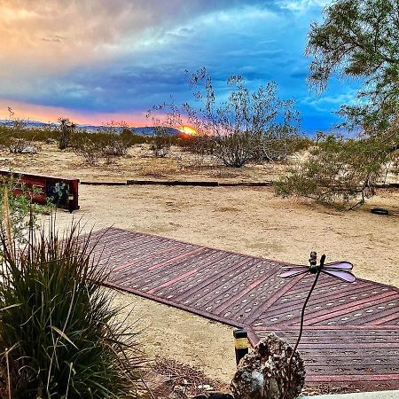 Popular Homestead! Location, Stargaze, Views! Joshua Tree Exterior foto