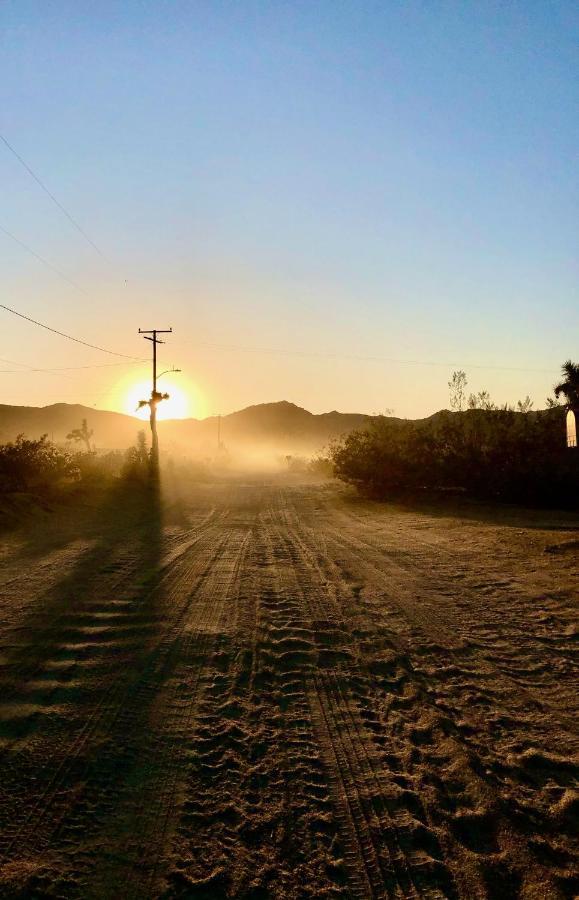 Popular Homestead! Location, Stargaze, Views! Joshua Tree Exterior foto