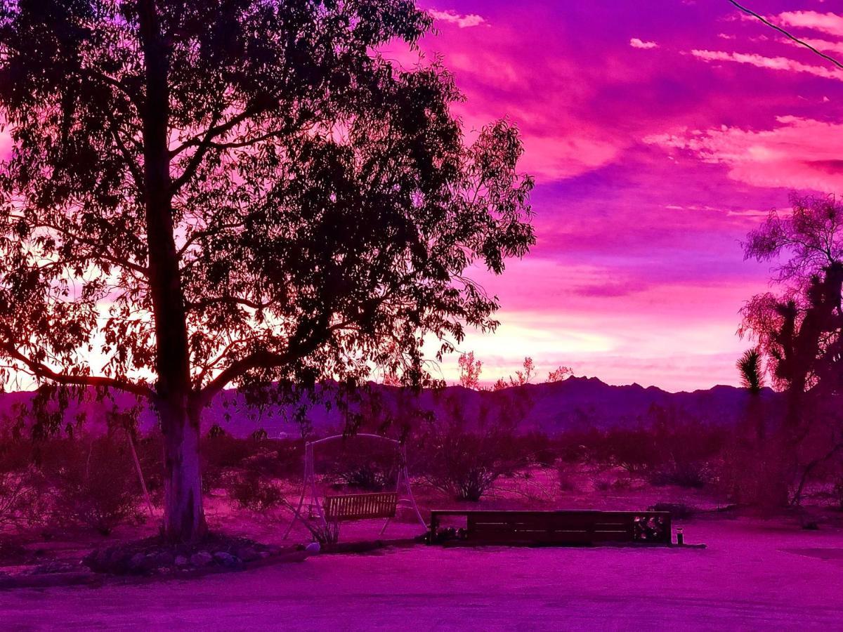 Popular Homestead! Location, Stargaze, Views! Joshua Tree Exterior foto