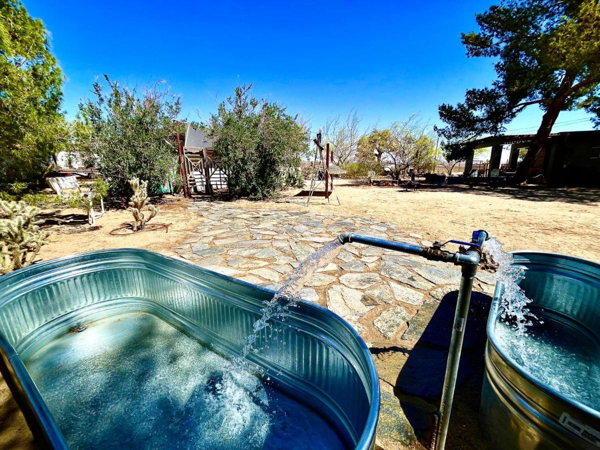 Popular Homestead! Location, Stargaze, Views! Joshua Tree Exterior foto