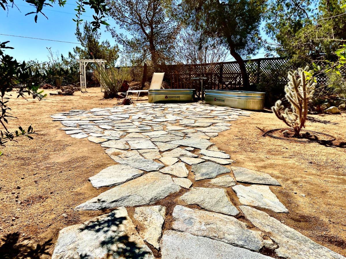 Popular Homestead! Location, Stargaze, Views! Joshua Tree Exterior foto